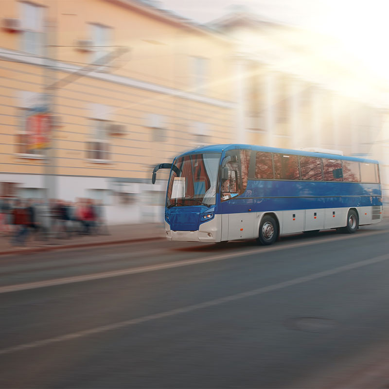 Bus/Tagesfahrten